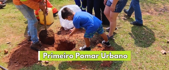 Registro de criança plantando muda de árvore com auxílio de adultos em volta